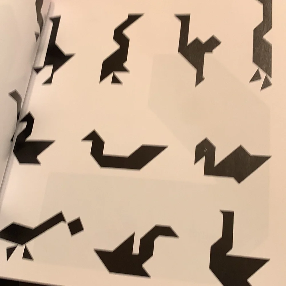 Tangram LARGE 1,600 ancient Chinese puzzles games Elffers Schuyt HOURS OF FUN